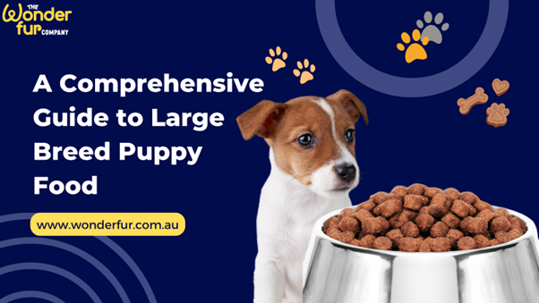 View of A Comprehensive Guide to Large Breed Puppy Food