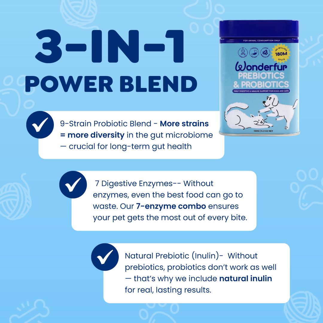 Advertisement for Wonderfur Prebiotics & Probiotics with text on a blue background
