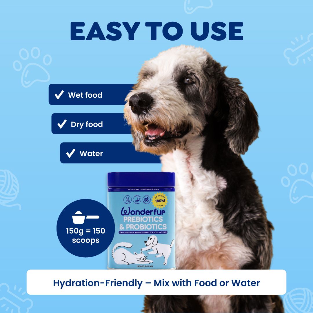 Dog with Wonderfur Probiotics & Prebiotics packaging on a blue background