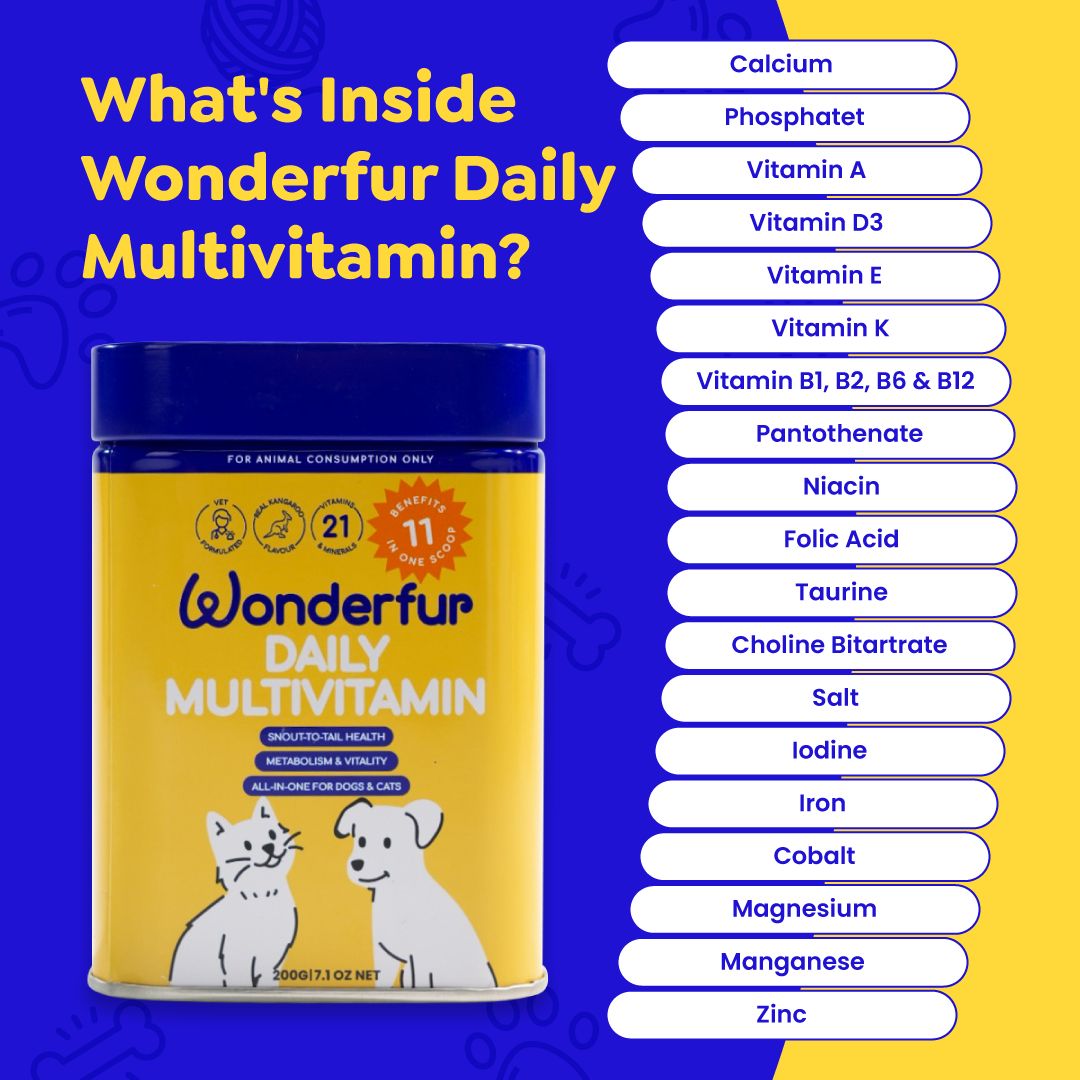 Dog and cat multivitamin powder supporting cognitive function, healthy skin, shiny coat, and vitality.
