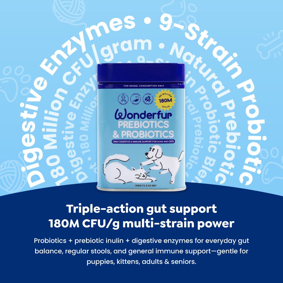 Wonderfur Prebiotics & Probiotics packaging with text on a blue background