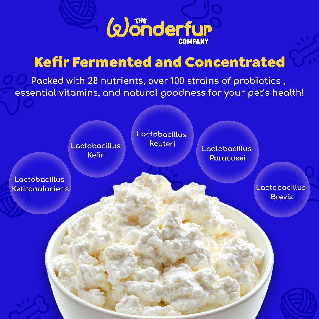 best dog supplements australia - Wonderfur Bites