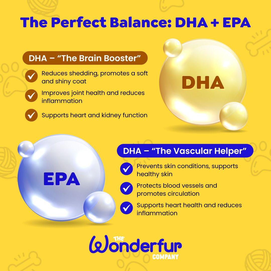 Supports Overall Health & Wellbeing of your pet.