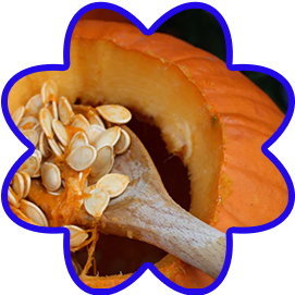 Pumpkin Seed