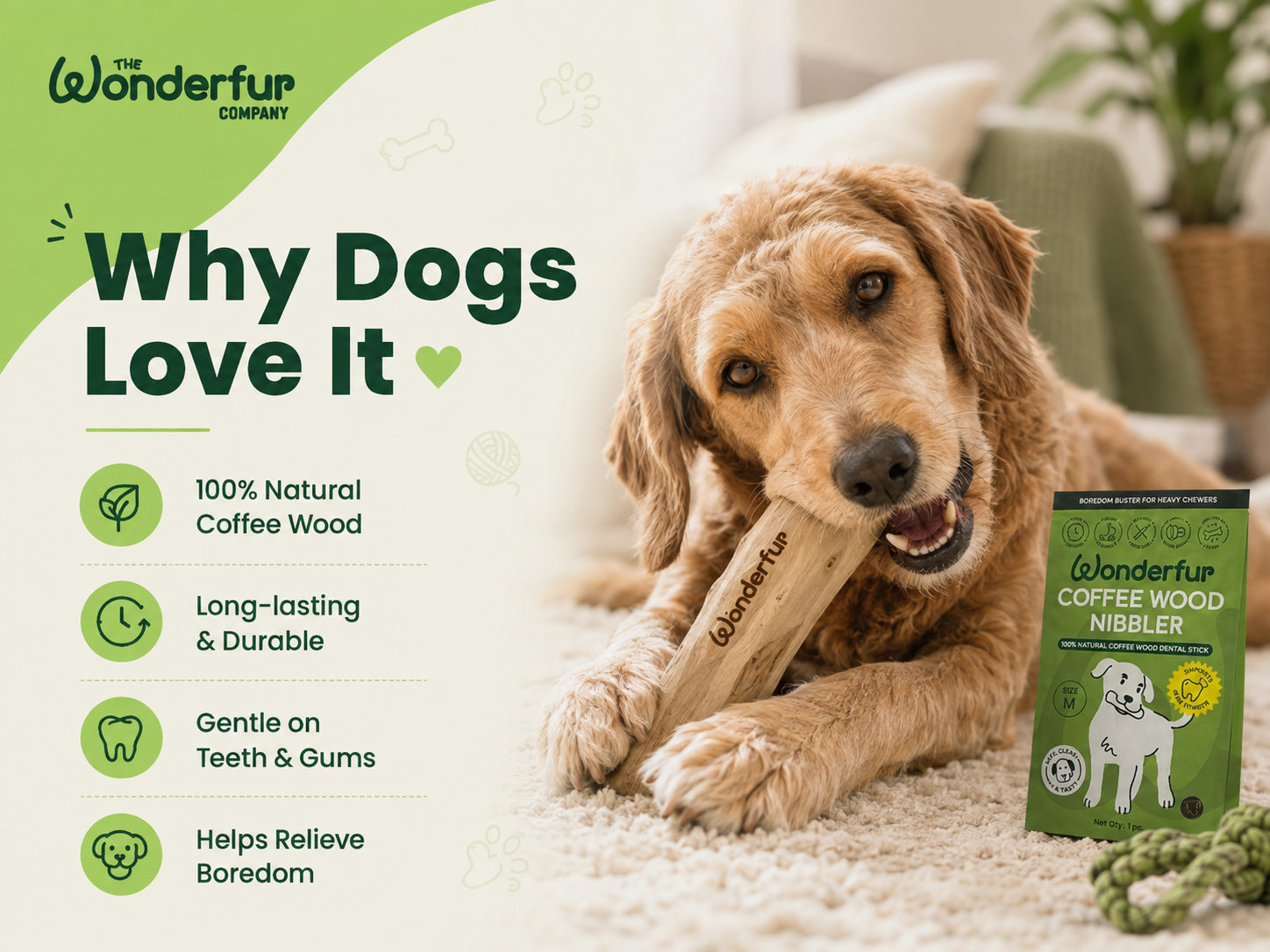 Why Does My Dog Chew Everything? Meet the Coffee Wood Nibbler