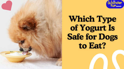 Which Type of Yogurt Is Safe for Dogs to Eat?