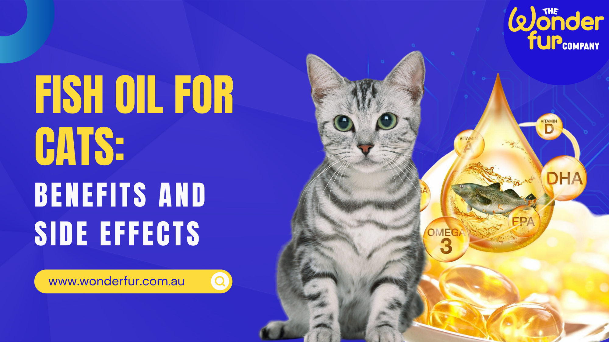 Fish Oil For Cats: Benefits And Side Effects