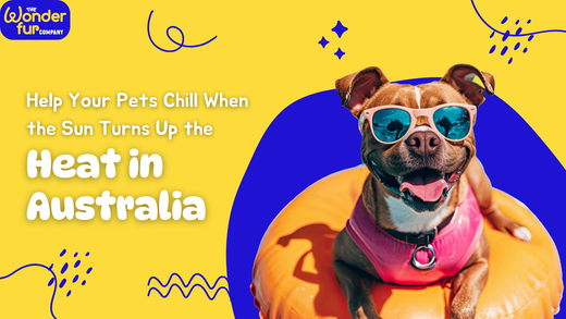 Fur-tastic Tips: Help Your Pets Cool When the Sun Turns Up the Heat in Australia