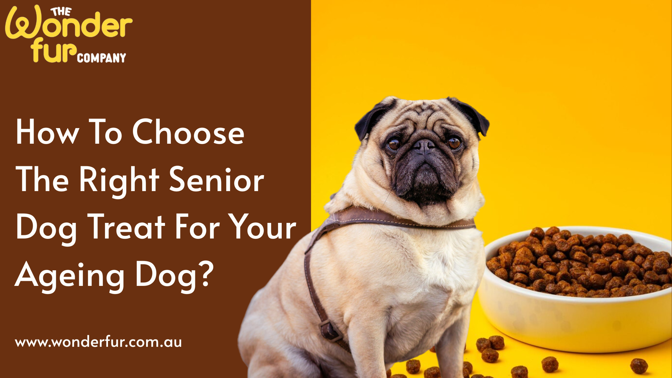 How To Choose The Right Senior Dog Treat For Your Ageing Dog