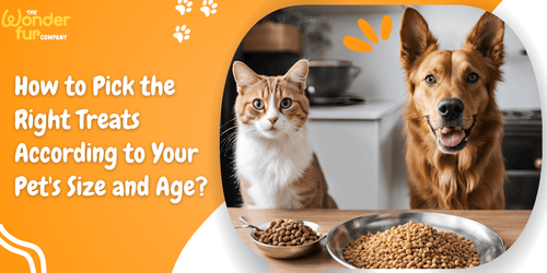 Can you give a dog cat treats shop