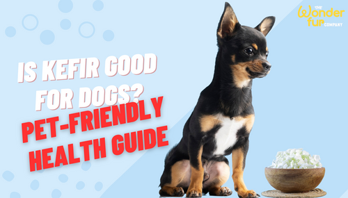 Kefir for dogs reviews new arrivals