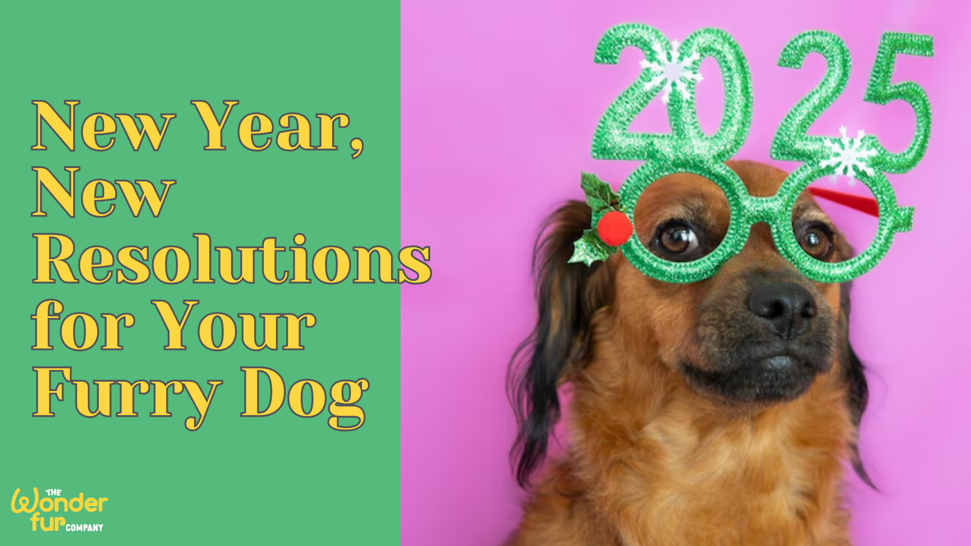 New Year, New Resolutions for Your Furry Friend!