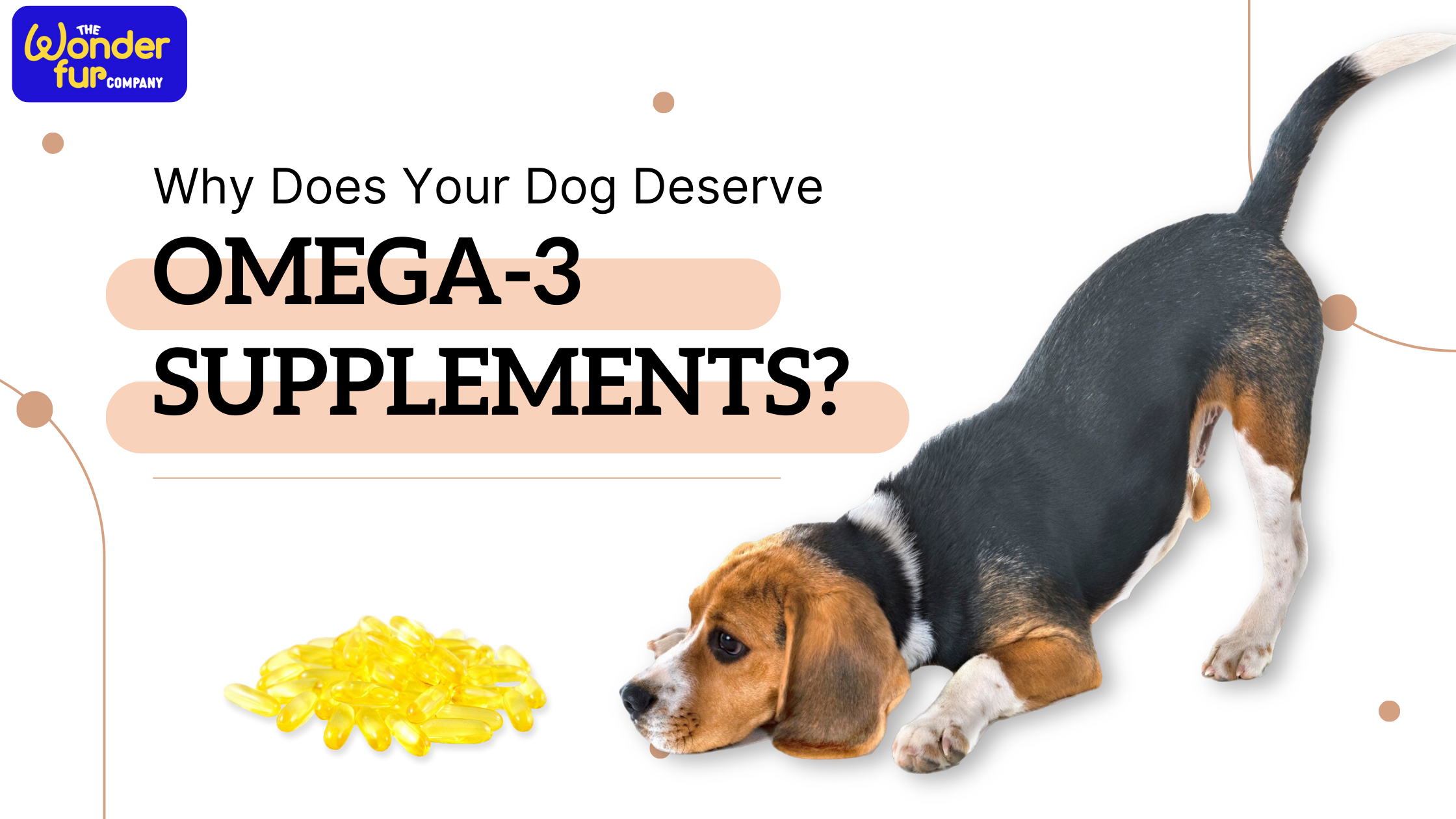 Why Does Your Dog Deserve Omega-3 Supplements and Best Sources?