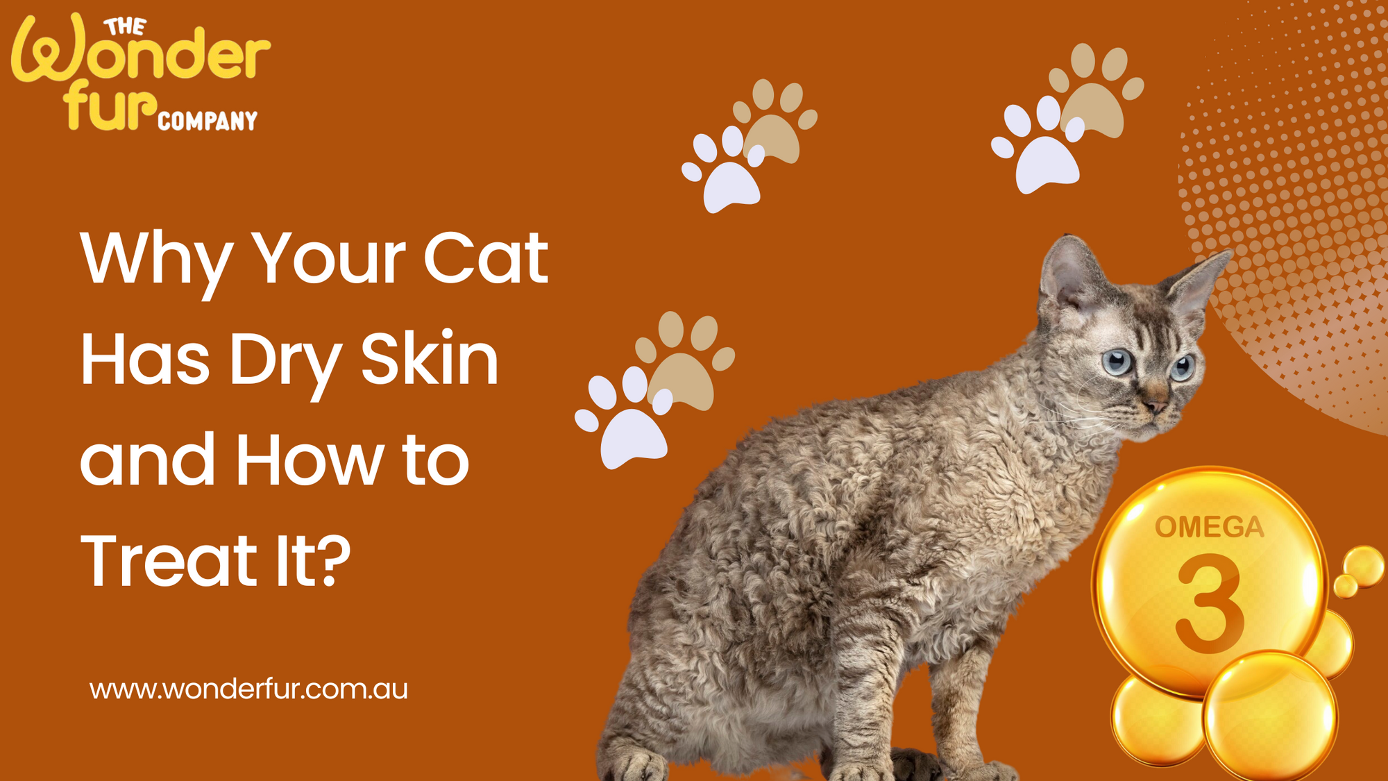 Why Your Cat Has Dry Skin and How to Treat It?
