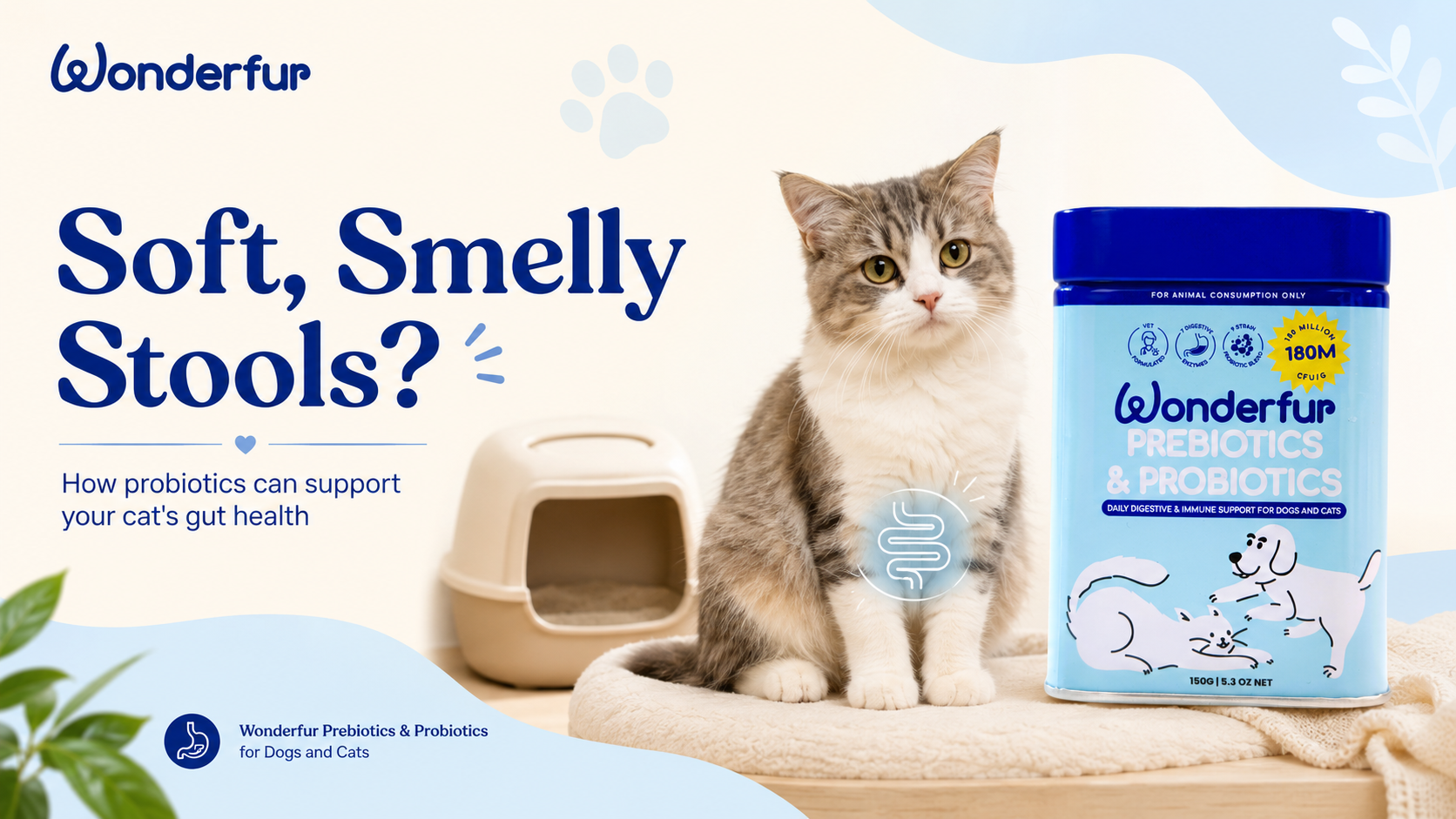 Why Is My Cat’s Poop Soft and Smelly? It May Be Time to Support Their Gut