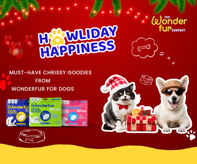 Howliday Happiness: Must-Have Chrissy Goodies(Toys & Dog Treats) from Wonderfur for Dogs