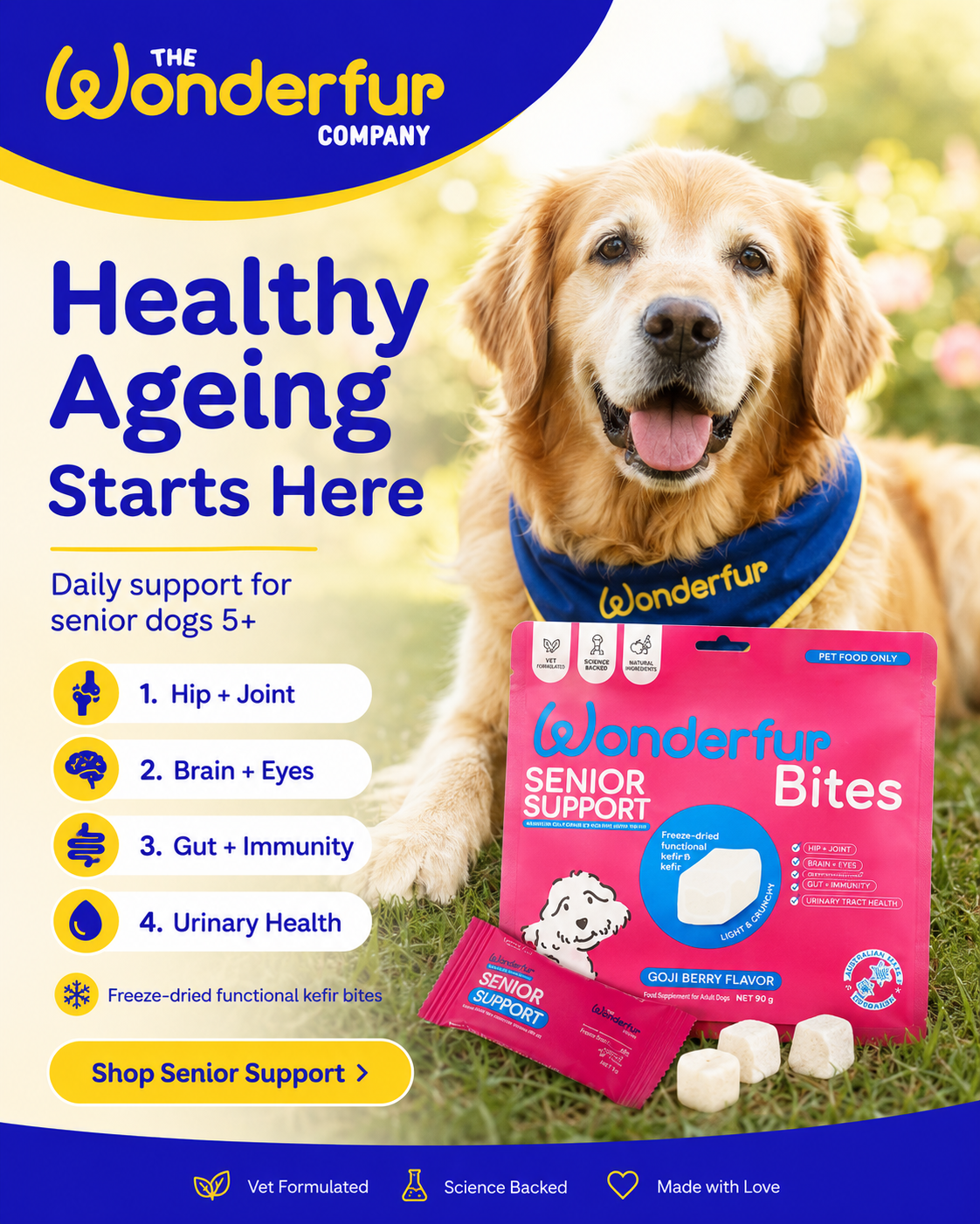 Advertisement for Wonderfur Senior Support for dogs with a dog in the background
