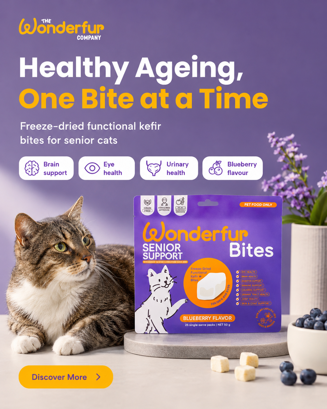 Promotional image of Wonderfur Senior Support Bites for senior cats with a cat and packaging on a purple background.