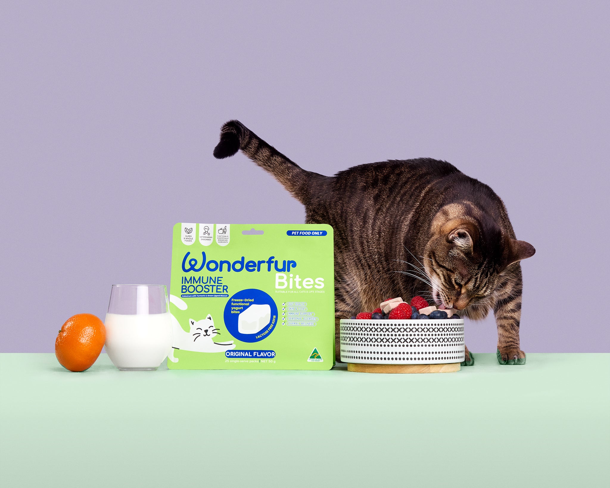 Immune Booster for Cats - wonderfurcompany, freeze-dried, probiotics, cat probiotics, healthy supplements for cat