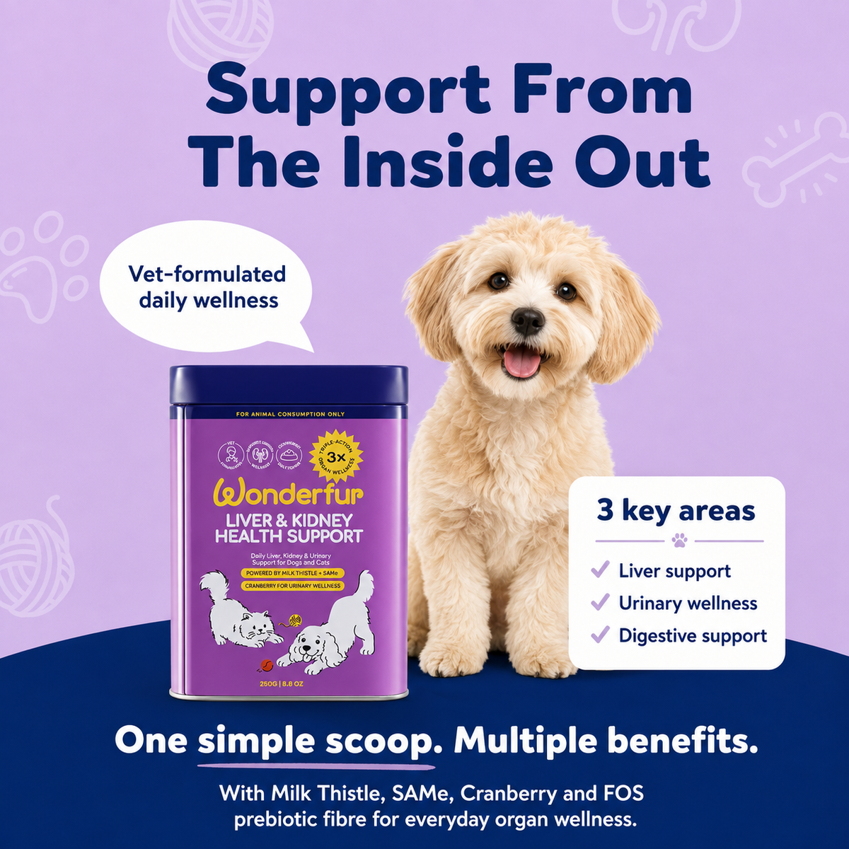 A promotional graphic for WonderFun Liver & Kidney Health Support dog supplement. It features a small fluffy cream-colored dog sitting next to a purple canister of the product.