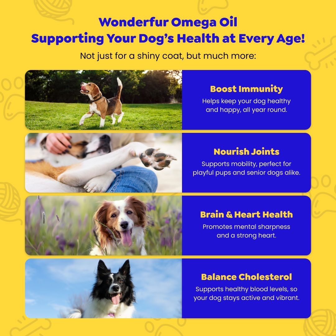Boost Immunity , Brain & Heart