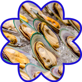 Green Lipped Mussel & Vitamin D