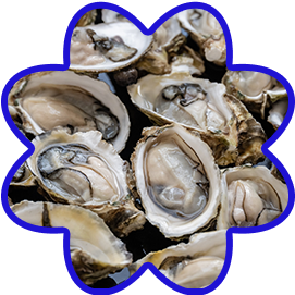 Oyster Powder