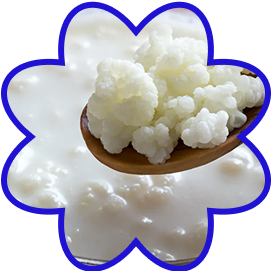 Kefir