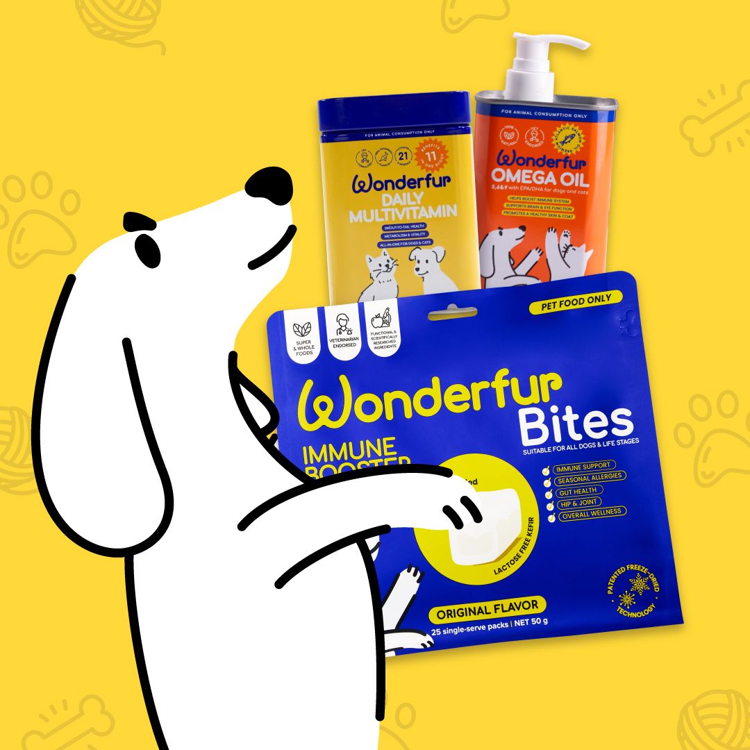 Illustration of a dog holding Wonderfur pet product packages on a yellow background