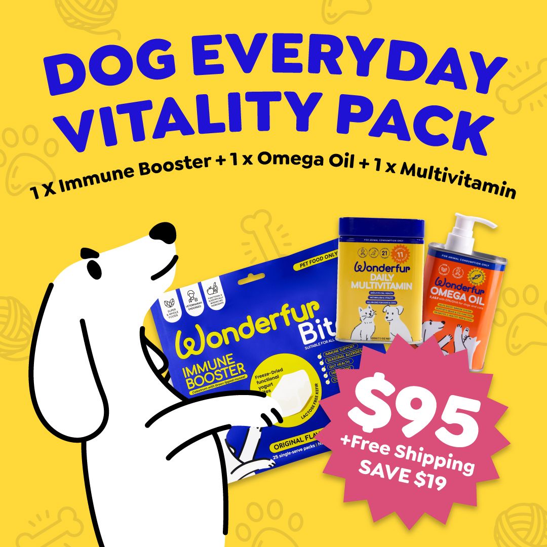 Dog Everyday Vitality Pack advertisement with cartoon dog holding products on a yellow background