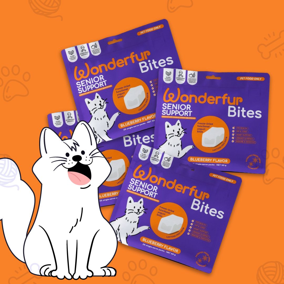 Wonderful Senior Support Bites packages on an orange background with a cartoon dog.