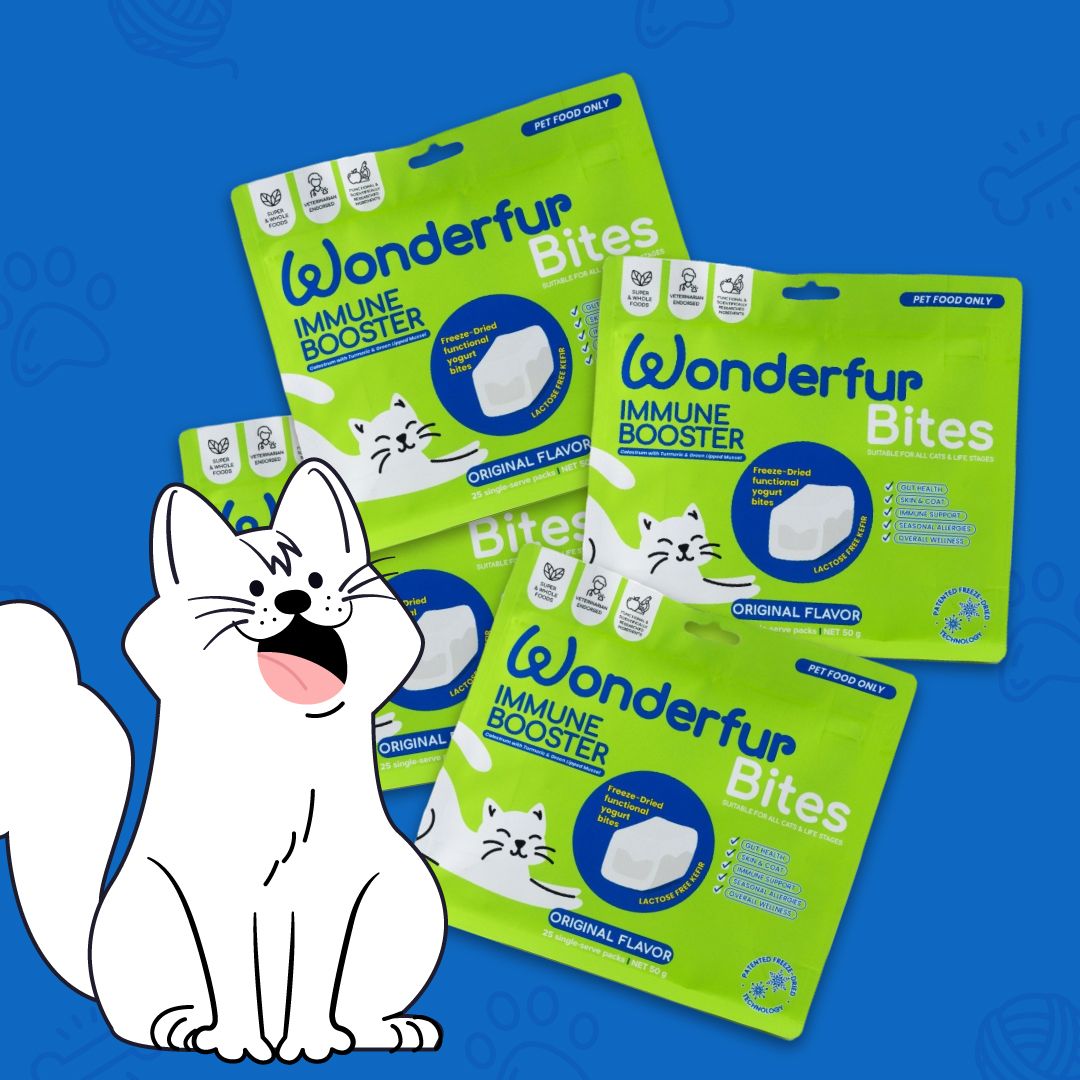 cat immune boosters 