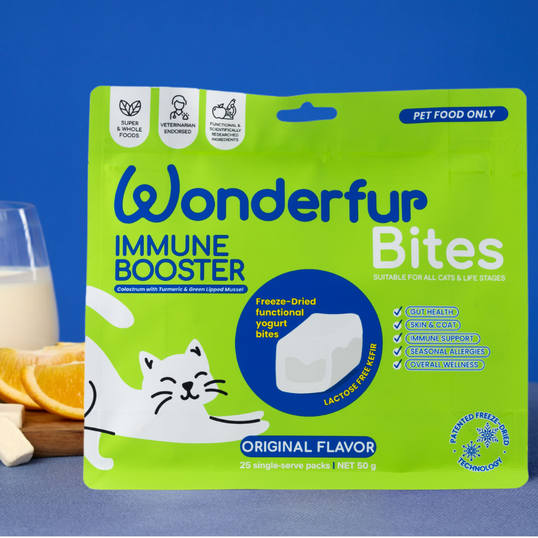cat immune support supplement - freeze-dried, probiotics, cat probiotics, healthy supplements for cat
