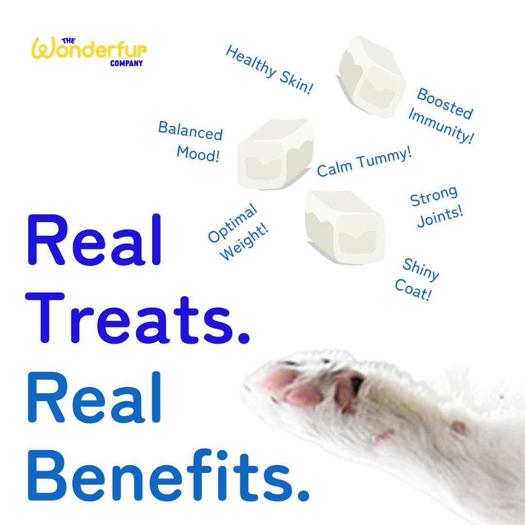 Wonderfur Sample - wonderfur company, dog supplements, cat supplements, wonderfur bites,