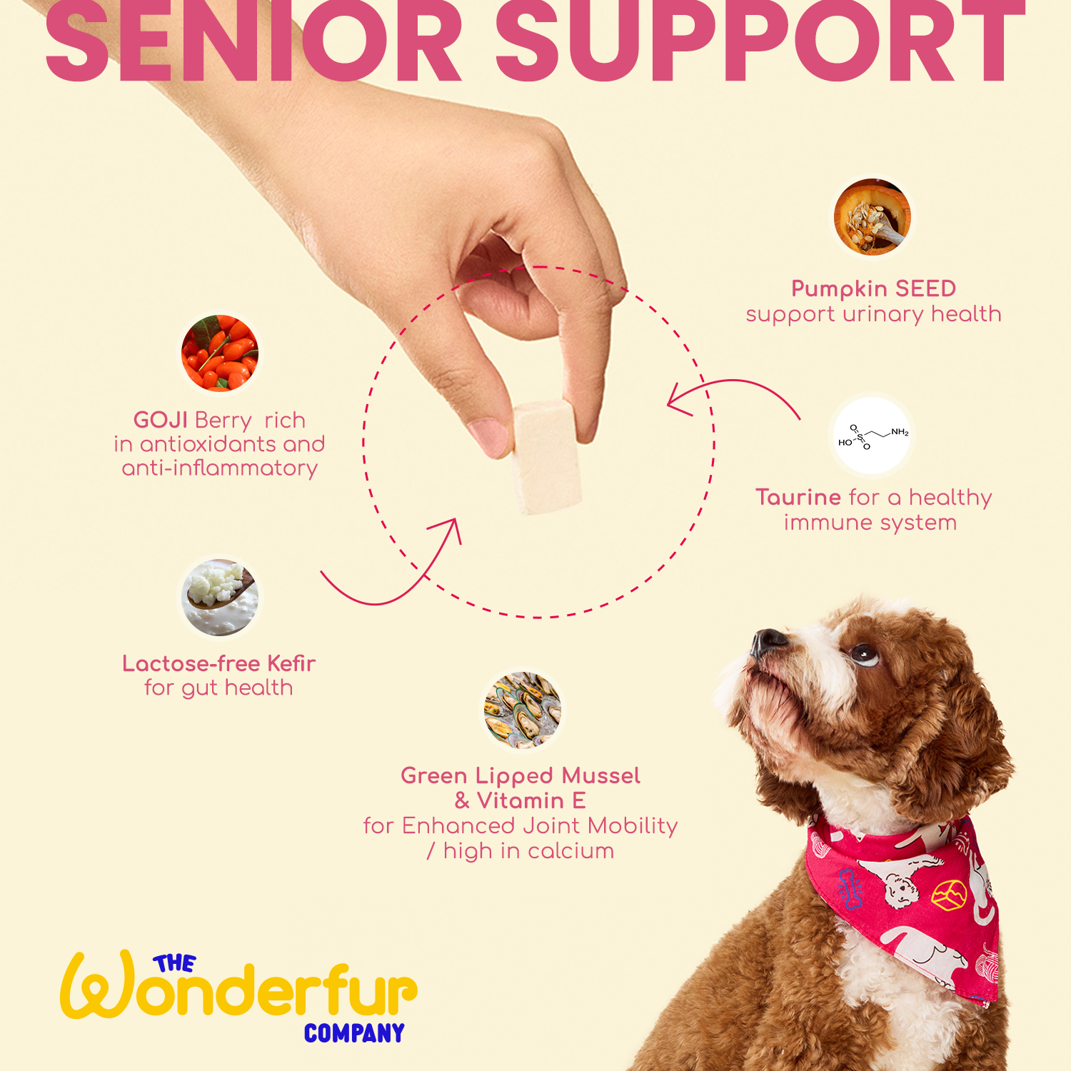 Wonderfur Bites- senior dog food supplements 