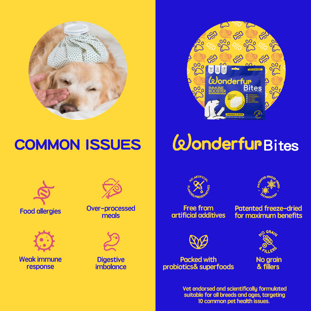 Wonderfur bites characteristics