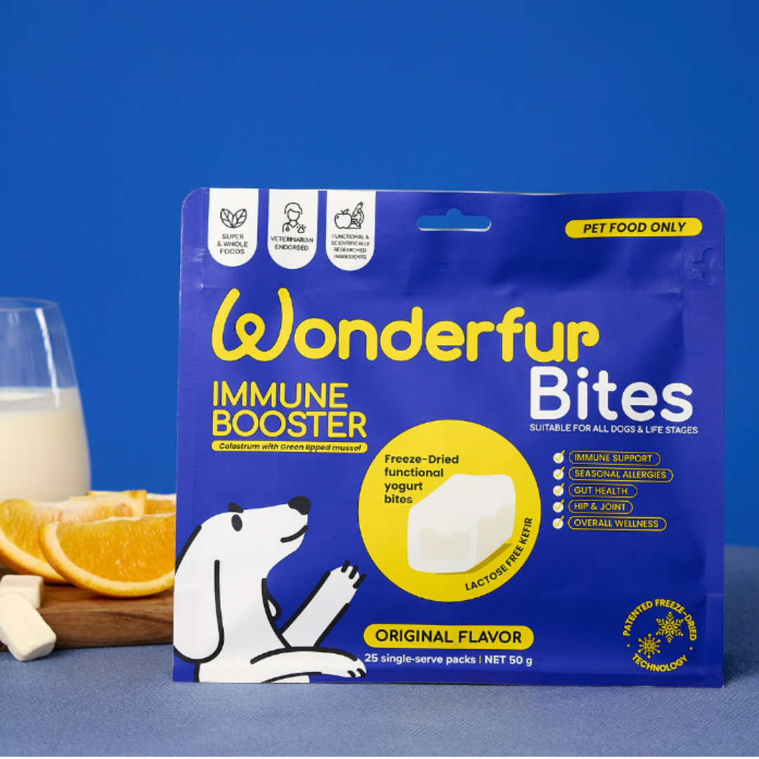 Kefir-Based Immune Booster for Dogs
