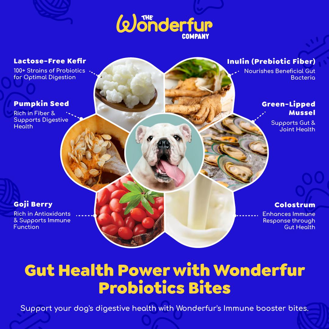 probiotics fot dogs