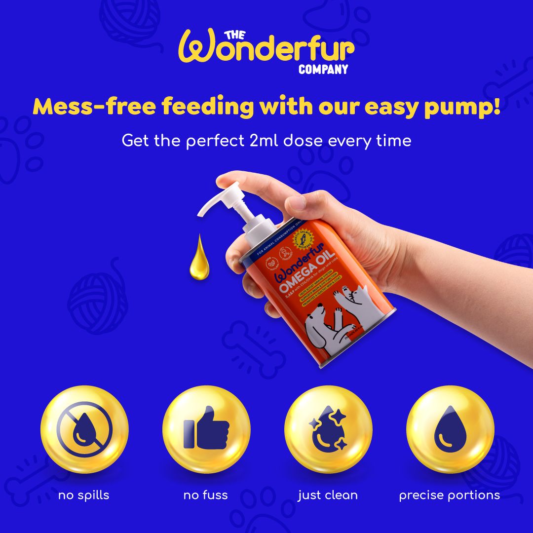 Food topper for fussy eaters