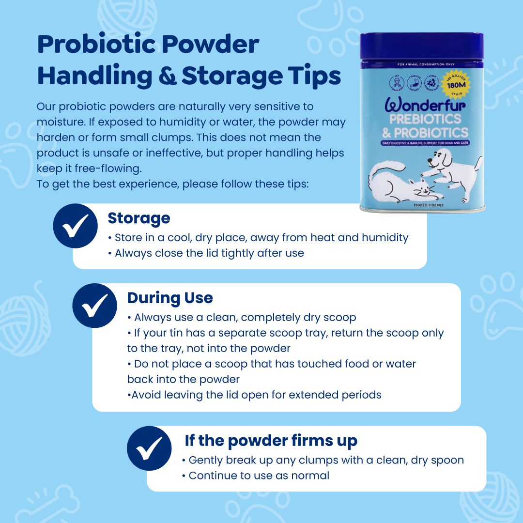 Probiotic powder handling and storage tips with a product container on a blue background