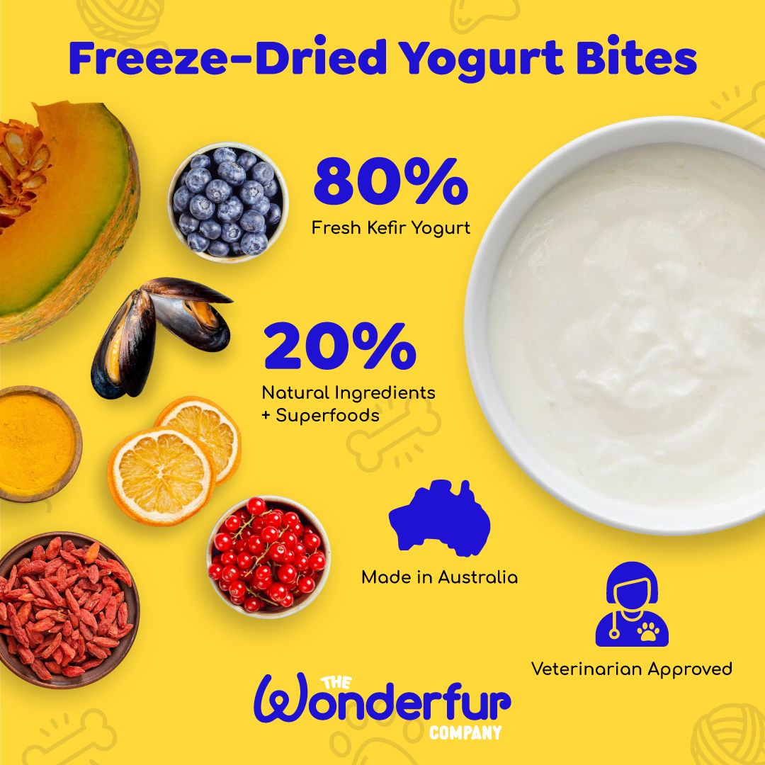 superfood for dogs, 100% natural
