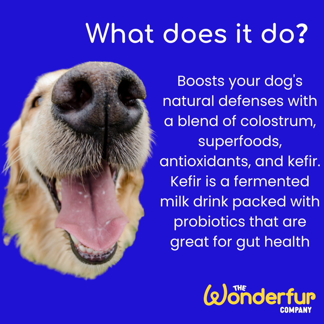 Boost your pet's immunity wonderfur bites