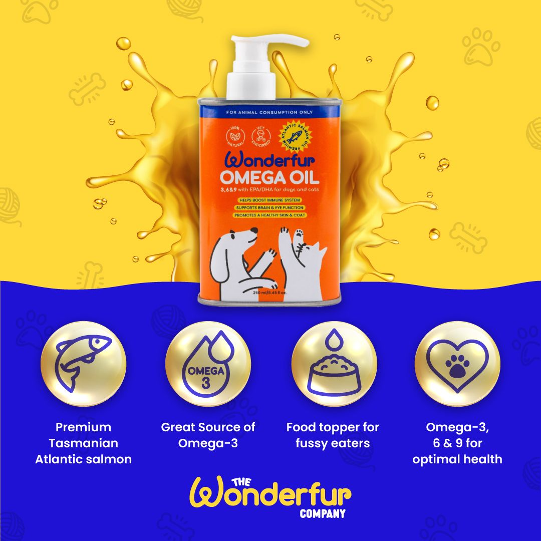 fish oil for dogs and cats