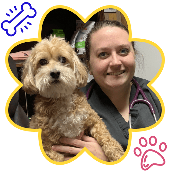 Trusted by Vets, Adored by Pets